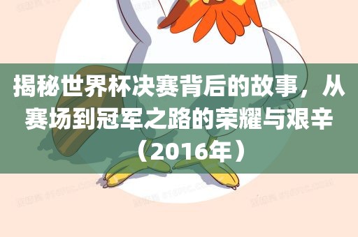 揭秘世界杯决赛背后的故事,从赛场到冠军之路的荣耀与艰辛(2016年)