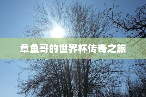 章鱼哥的世界杯传奇之旅