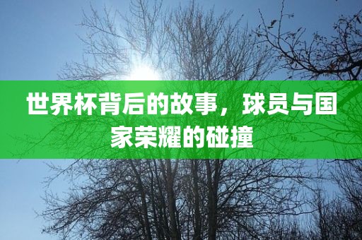 世界杯背后的故事，球员与国家荣耀的碰撞广州熙林手袋有限公司