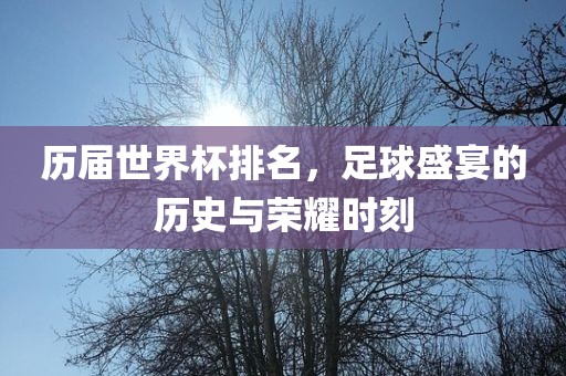 历届世界杯排名，足球盛宴的历史与荣耀时刻
