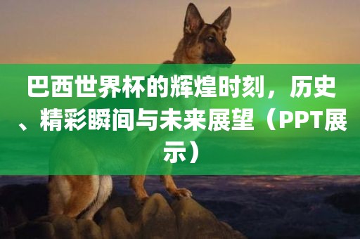 巴西世界杯的辉煌时刻,历史、精彩瞬间与未来展望(PPT展示)