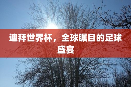 迪拜世界杯，全球瞩目的足球盛宴