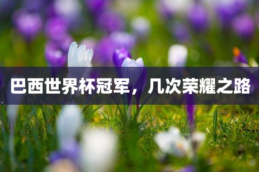 巴西世界杯冠军，几次荣耀之路广州熙林手袋有限公司