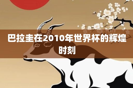 巴拉圭在2010年世界杯的辉煌时刻