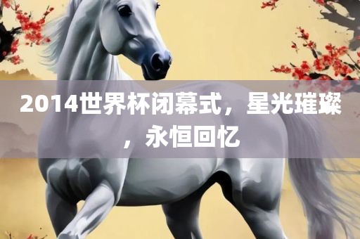 2014世界杯闭幕式,星光璀璨,永恒回忆