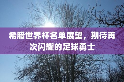希腊世界杯名单展望，期待再次闪耀的足球勇士广州熙林手袋有限公司