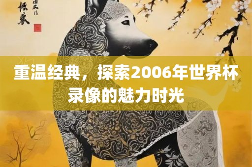 重温经典，探索2006年世界杯录像的魅力时光