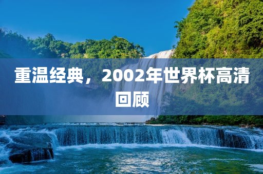 重温经典,2002年广州熙林手袋有限公司世界杯高清回顾