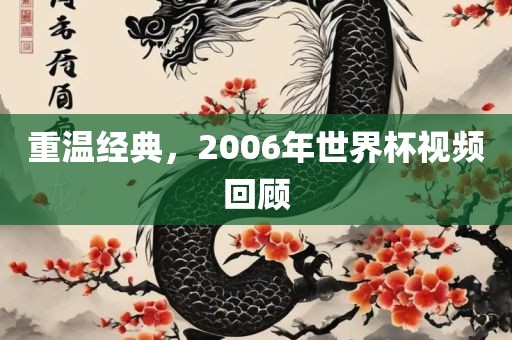 重温经典,2006年世界杯视频回顾