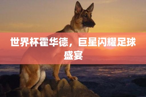 世界杯霍华德,巨星闪耀足球盛宴广州熙林手袋有限公司