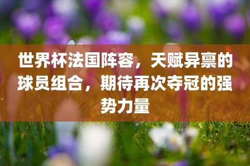 世界杯法国阵容，天赋异禀的球员组合，期待再次夺冠的强势力量