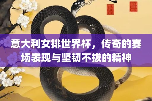 意大利女排世界杯，传奇的赛场表现与坚韧不拔的精神