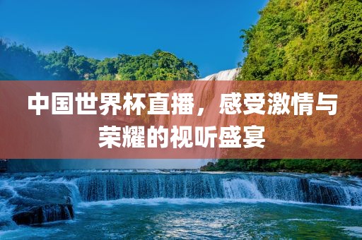 中国世界杯直播，感受激情与荣耀的视听盛宴