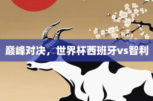 巅峰对决,世界杯西班牙vs智利广州熙林手袋有限公司