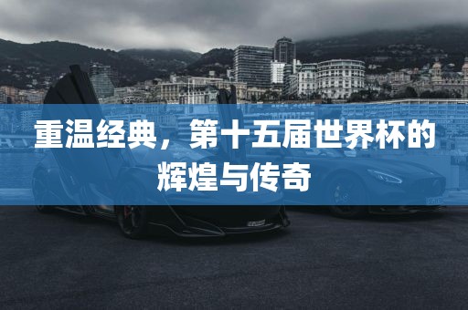 重温经典，第十五届世界杯的辉煌与传奇广州熙林手袋有限公司