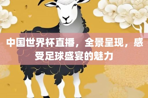 中国世界杯直播，全景呈现，感受足球盛宴的魅力