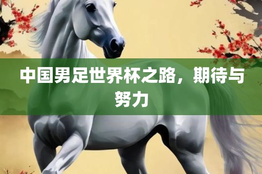 中国男足世界杯之路，期待与努力