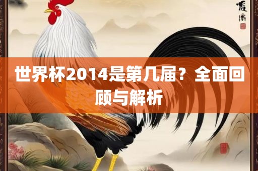 世界杯2014是第几届?全面回顾与解析广州熙林手袋有限公司