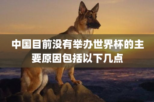 中国目前没有举办世界杯的主要原因包括以下几点广州熙林手袋有限公司