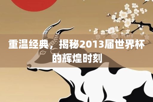 重温经典,揭秘2013届世界杯的辉煌时刻