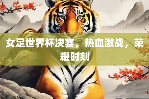 女足世界杯决赛，热血激战，荣耀时刻