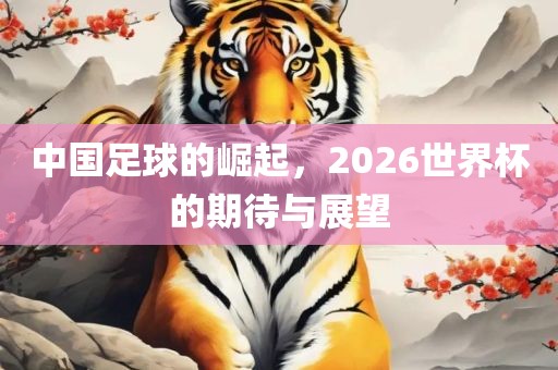 中国足球的崛起，2026世界杯的期广州熙林手袋有限公司待与展望
