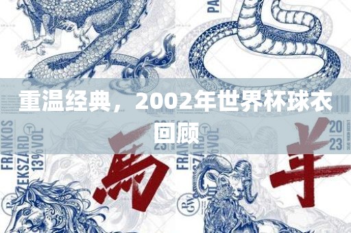 重温经典,2002年世界杯球衣回顾