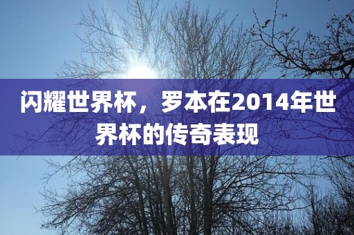 闪耀世界杯,罗本在2014广州熙林手袋有限公司年世界杯的传奇表现