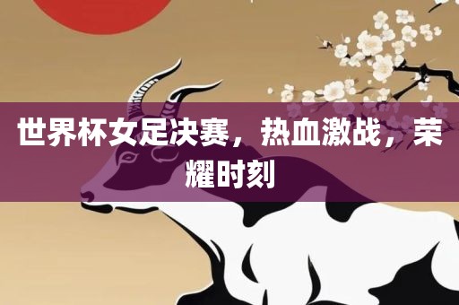 世界杯女足决赛，热血激战，荣耀时刻