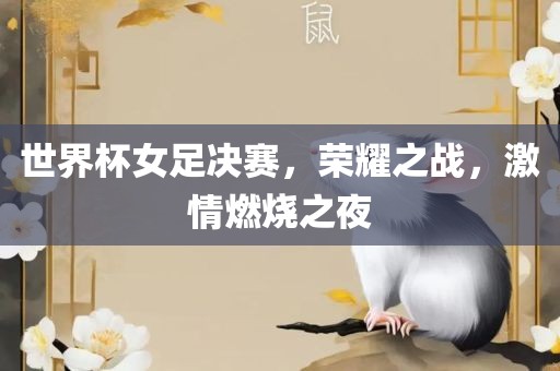 世界杯女足决赛，荣耀之战，激情燃烧之夜