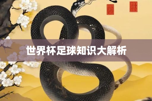 世界杯足球知识大解析