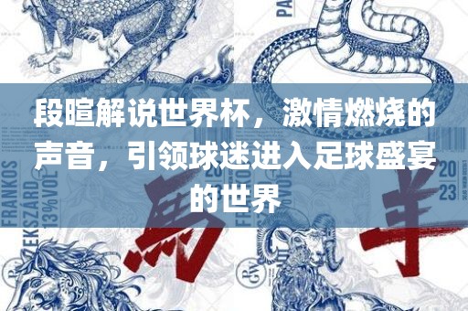段暄解说世界杯，激情燃烧的声音，引领球迷进入足球盛宴的世界
