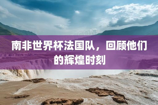 南非世界杯法国队,回顾他们的辉煌时刻