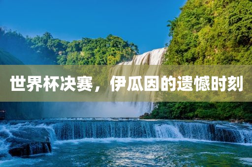 世界杯决赛,伊瓜因的遗憾时刻