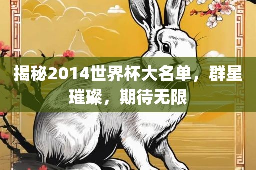 揭秘2014世界杯大名单,群星璀璨,期待无限