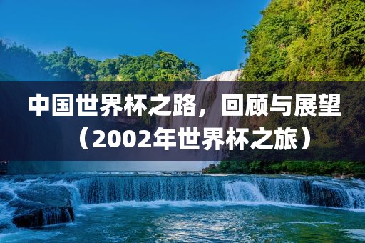 中国世界杯之路，回顾与展望（2002年世界杯之旅）