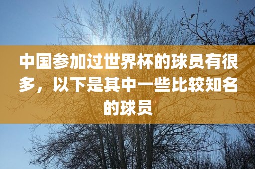 中国参加过世界杯的球员有很多,以下是其中一些比较知名的球员