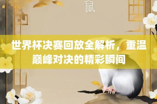 世界杯决赛回放全解析，重温巅峰对决的精彩瞬间