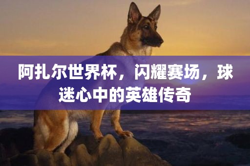 阿扎尔世界杯，闪耀赛场，球迷心中的英雄传奇