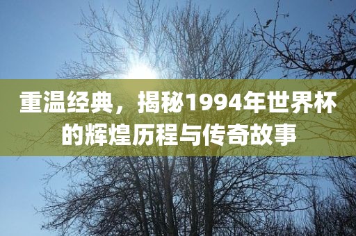 重温经典,揭秘1994年世界杯的辉煌历程与传奇故事
