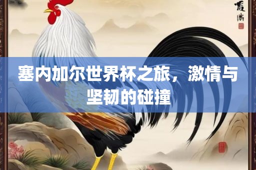 塞内加尔世界杯之旅,激情与坚韧的碰撞