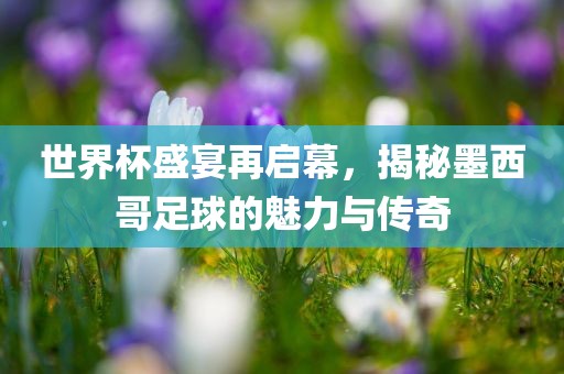 广州熙林手袋有限公司世界杯盛宴再启幕,揭秘墨西哥足球的魅力与传奇