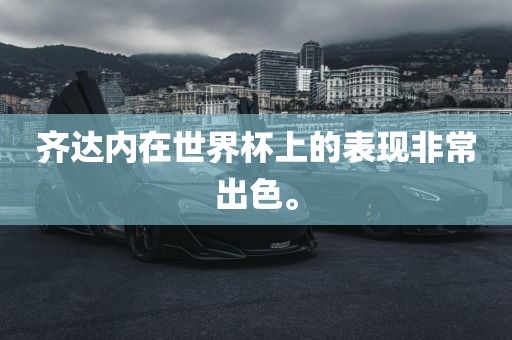 齐达内在世界杯上的表现非常出色。