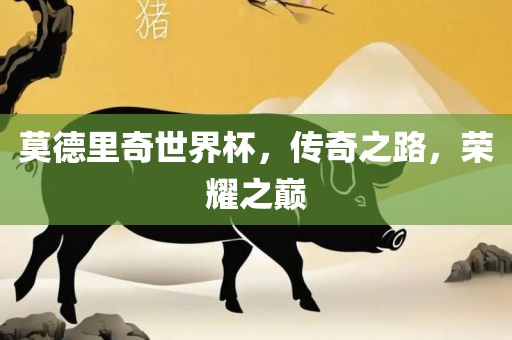 莫德里奇世界杯，传奇之路，荣耀之巅