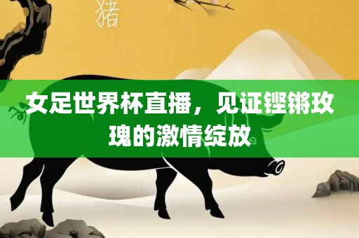 女足世界杯直播，见证铿锵玫瑰的激情绽放