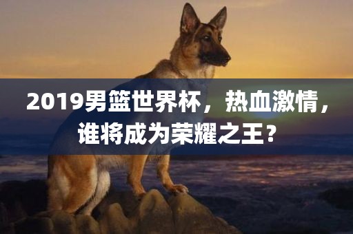 2019男篮世界杯，热血激情，谁将成为荣耀之王？