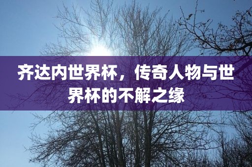 齐达内世界杯，传奇人物与世界杯的不解之缘