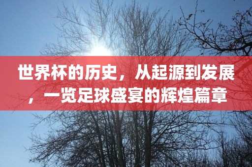 世界杯的历史，从起源到发展，一览足球盛宴的辉煌篇章