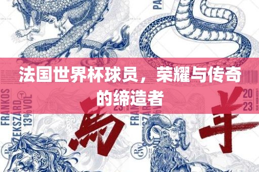 法国世界杯球员,荣耀与传奇的缔造者