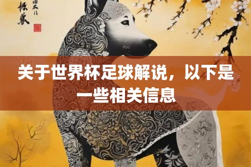 关于世界杯足球解说，以下是一些相关信息